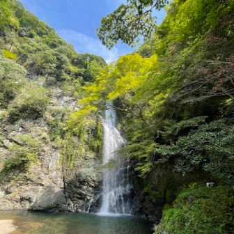 阪急箕面駅から1時間足らずで到着❗️
ここだけは清涼な空気でした
外国の人に「写真撮って」と英語で声を掛けられ、なんとか英語で「もちろんさ！」と写真撮ってあげることができました汗