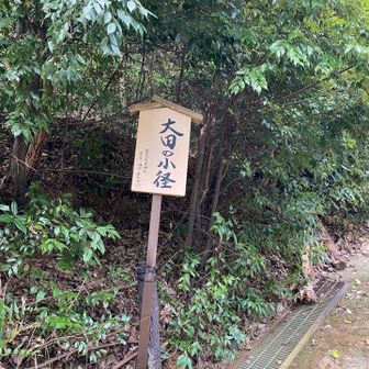 ここから低山縦走始まります🙋‍♀️