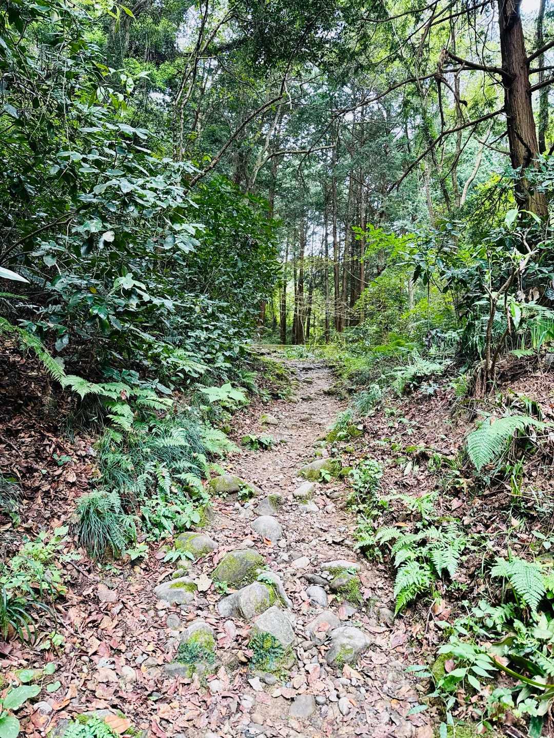 お天気イマイチだけど気持ちいい
( ・∀・) ｲｲ!!