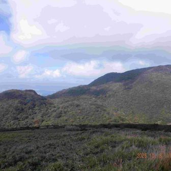 右に神山＠箱根駒ヶ岳(1356m)。
富士山は正面に、きっといる。
やっぱり見えたら1枚は鉄則