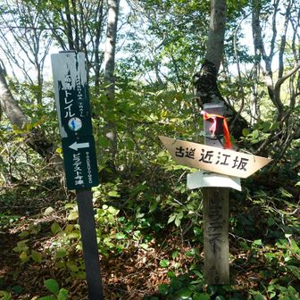 近江坂まで着きました。今日の予定はここまで。