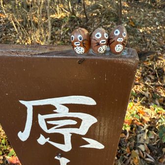 原山山頂
安芸区みりょく探検隊の山頂標識
なんだか文字のテイストが変わってる