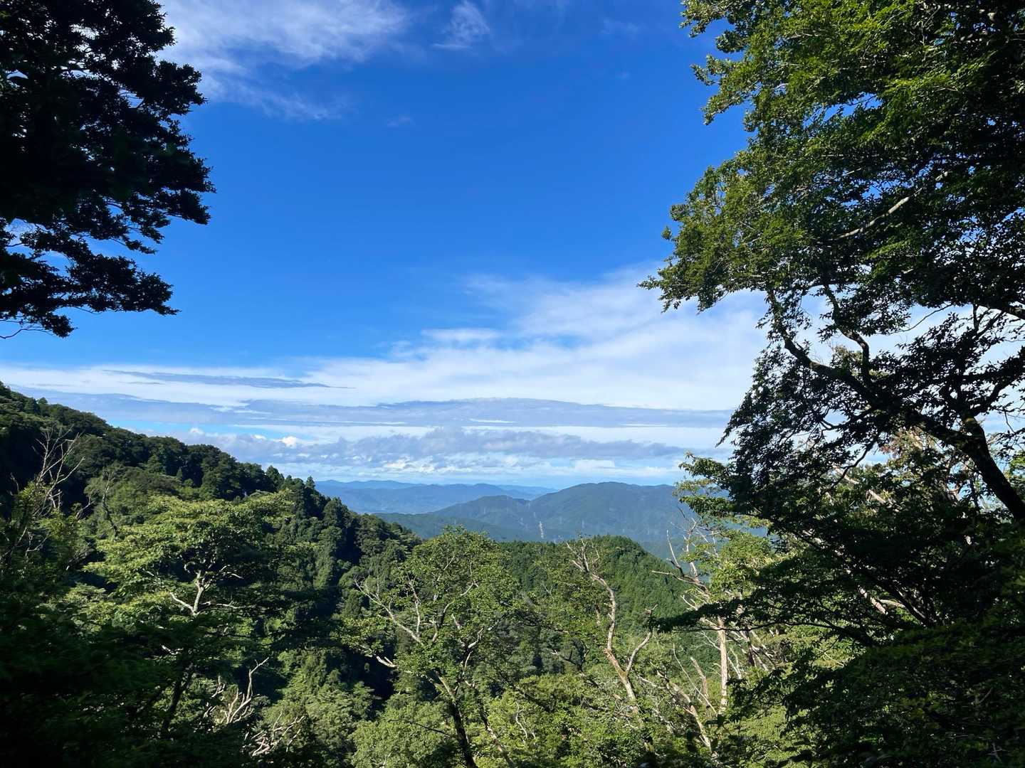 水越峠登山口-金剛山 往復コースの写真
