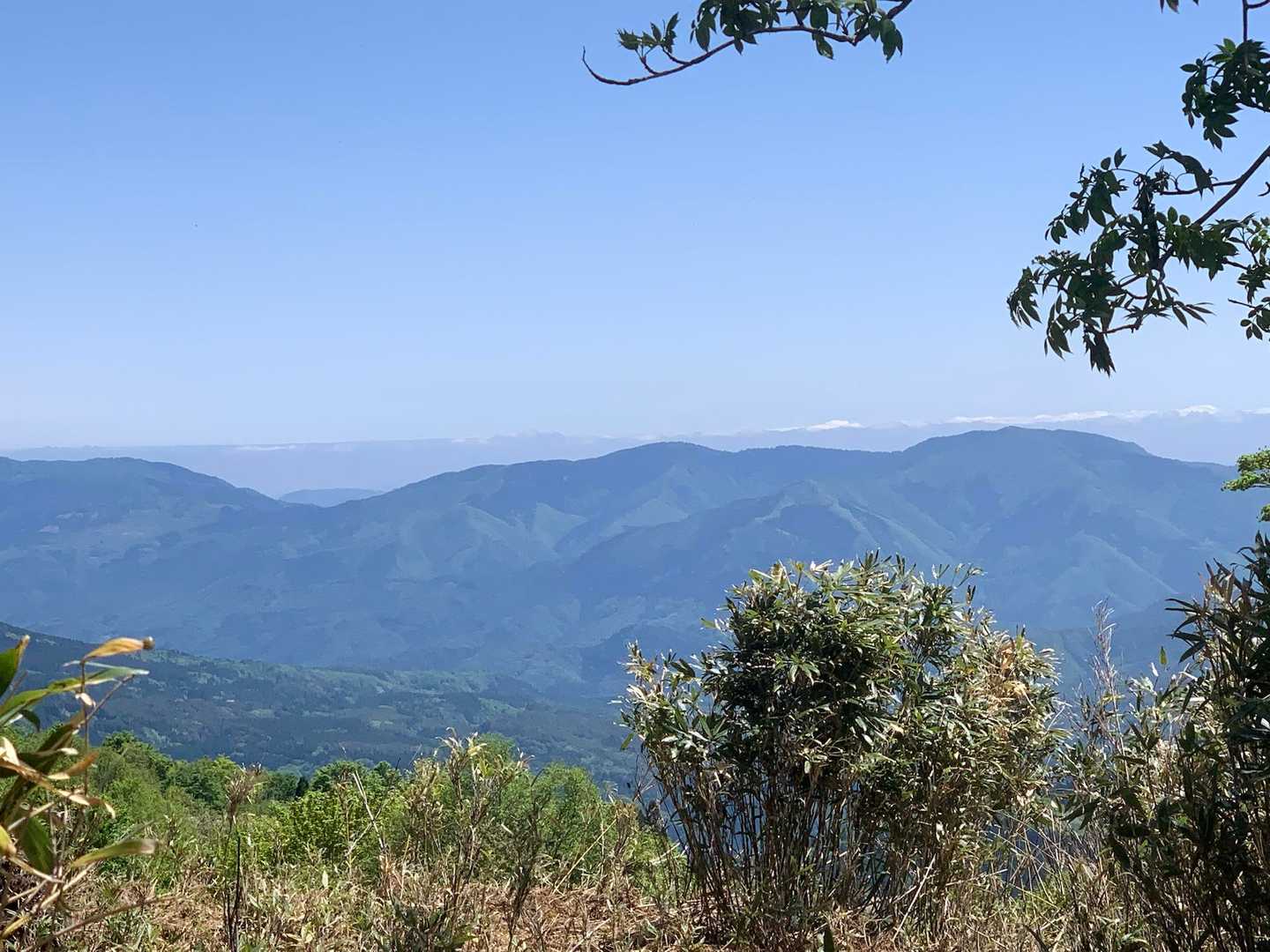 大段ヶ平登山口-氷ノ山 往復コースの写真