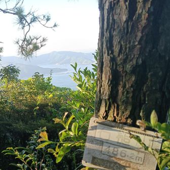 海を見下ろす石鎚神社