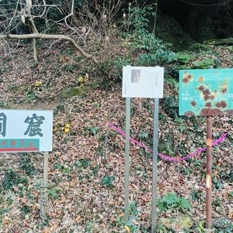 洞窟がありました。