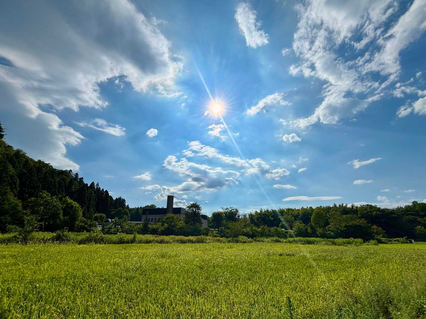 下山！9月に入りまだ暑いけど☀️は秋めいてる