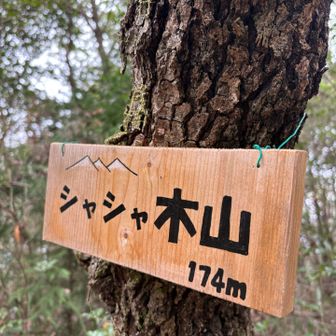 シャシャ木山⛰️でした💮

うどん県人が描かない山のイラストやね