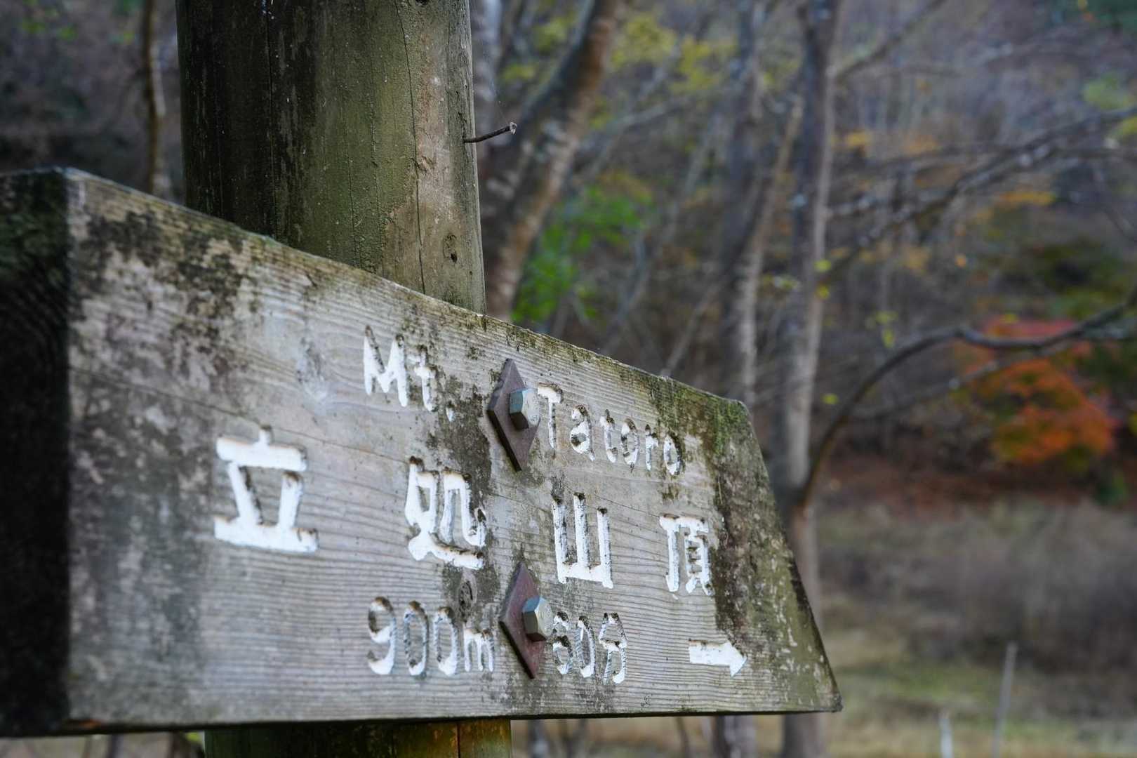 立処山 往復コースの写真
