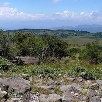 八島ヶ原湿原への道は歩きにくい
