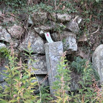 丸金醤油の所で🚌下車すると
醤油の匂いが漂っていました

登山口まで少しロード歩きです