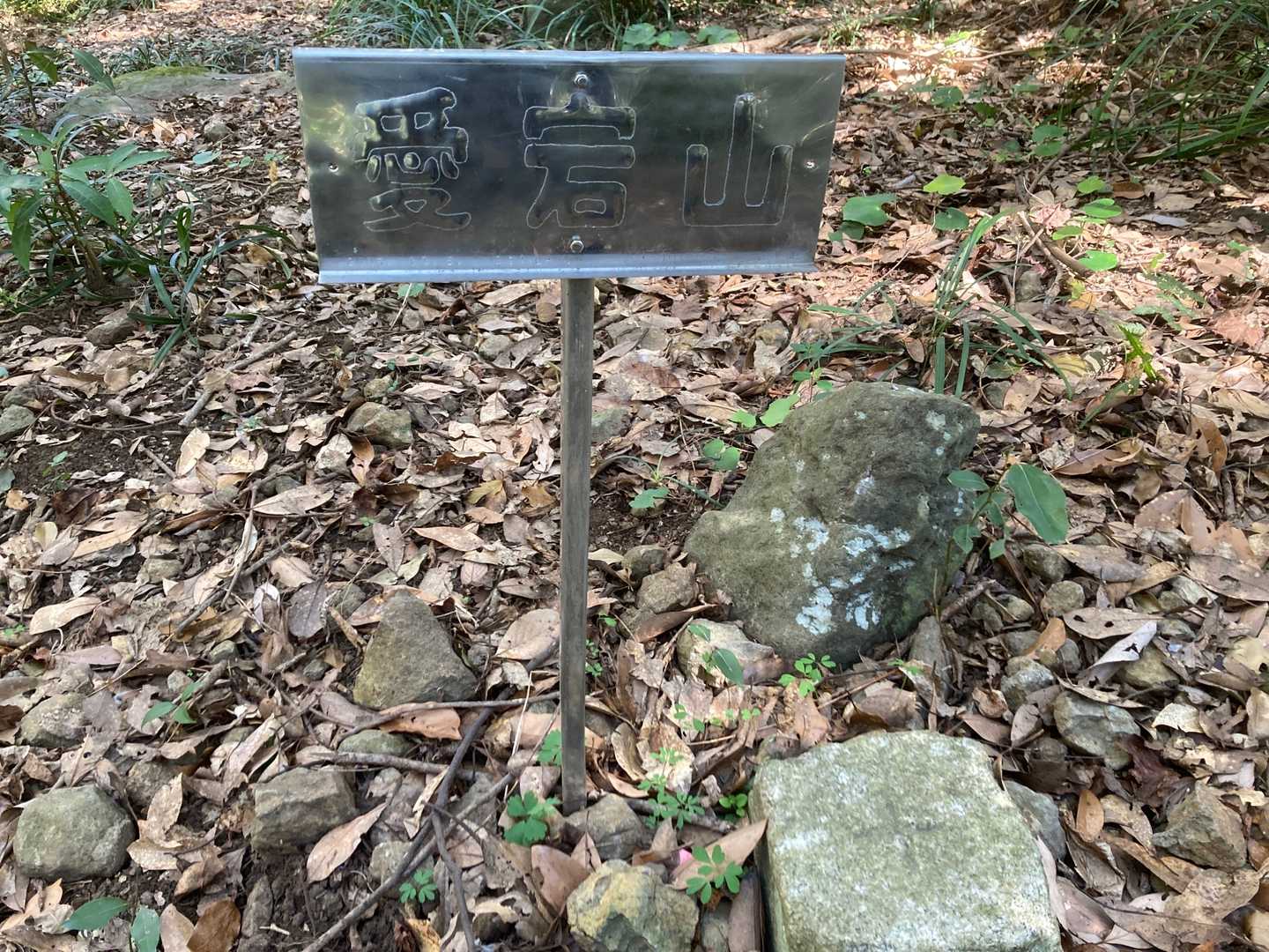 愛宕山山頂と三角点