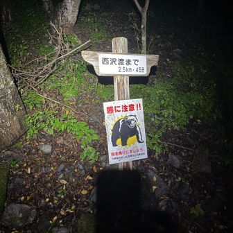 ひとり熊に怯えながら進む