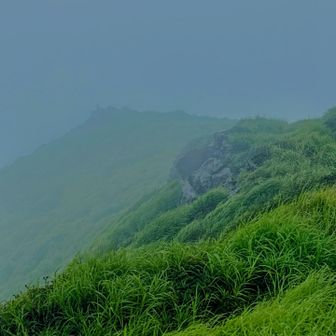 あの先が皿山山頂
皿山分岐からは、結構な薮ですが、先日の槍ヶ岳に比べたら可愛いもんです