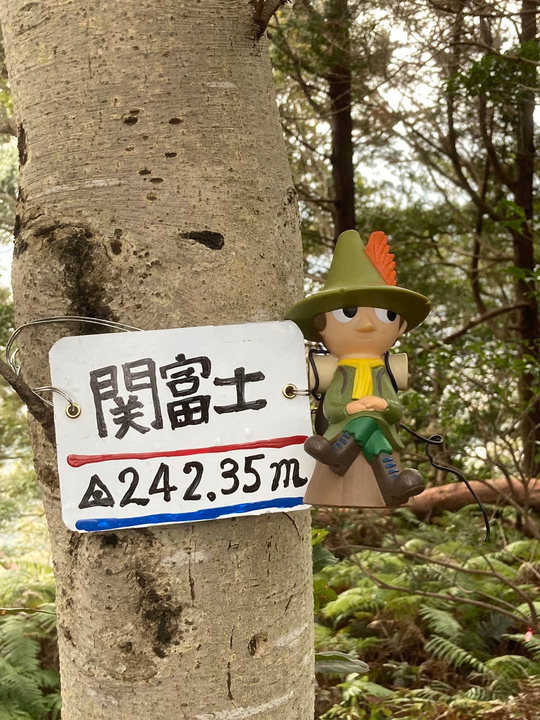最後の関富士にとうちゃこ！