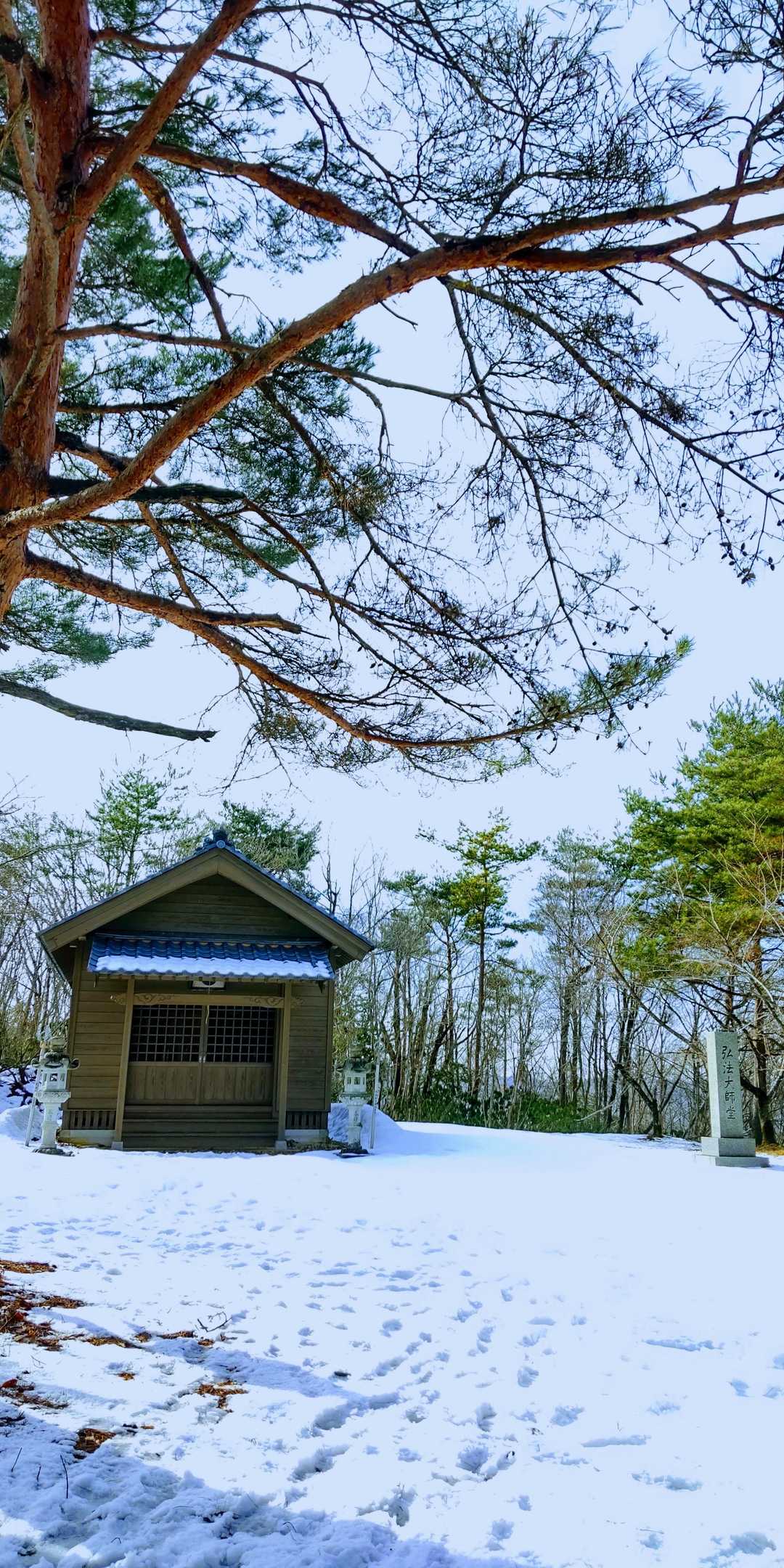 弘法大師堂前は広場に
ここから裏側行くと🌸トンネル
春なると🌸見応え有るの🤔