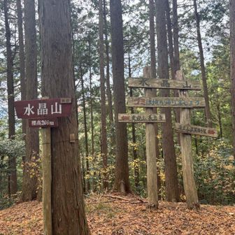 水晶山は縦走路の右手にありました。山頂山頂したものではないので、ぼうっと歩いていたら見過ごしていたかもしれません。