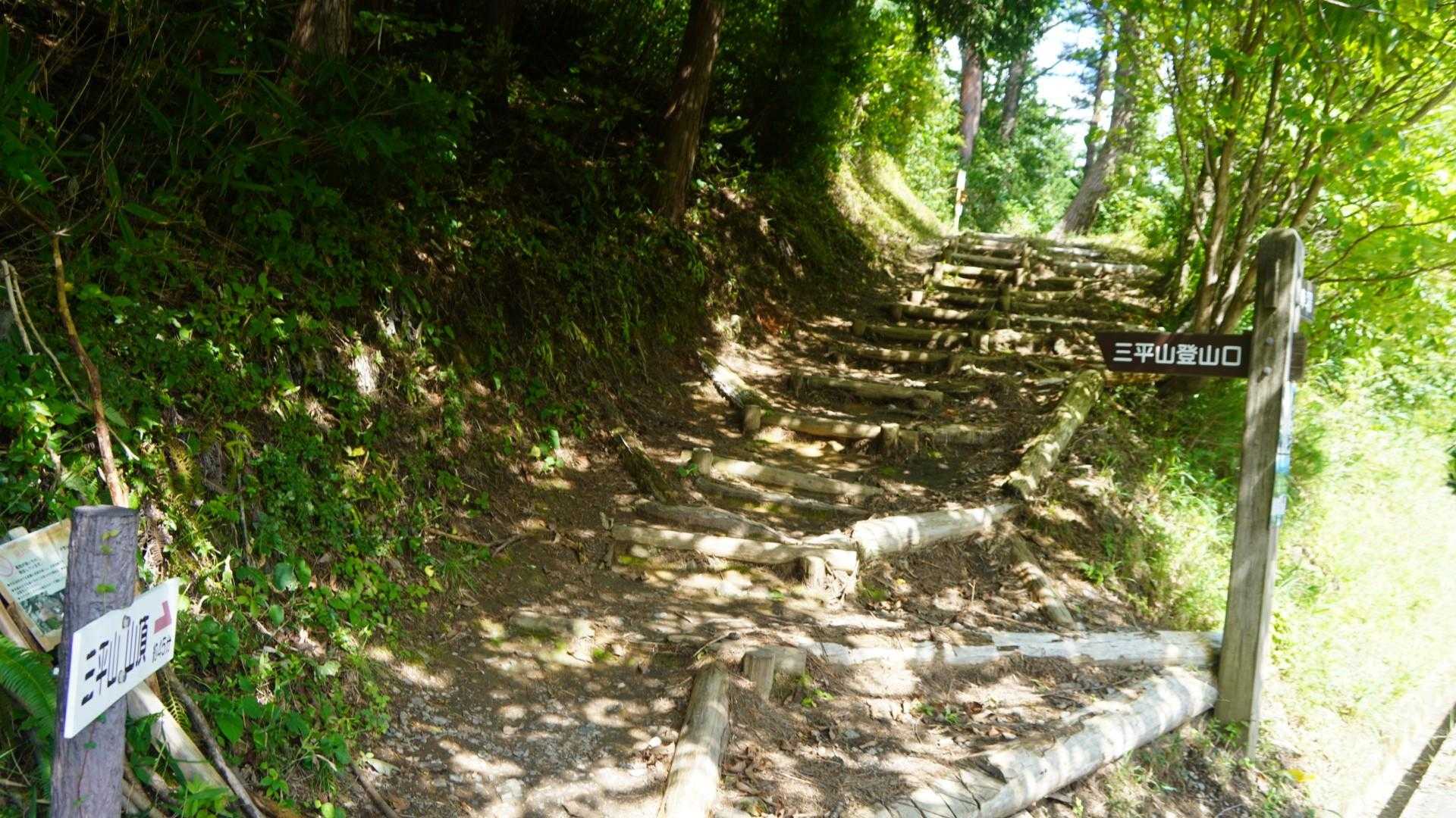 三平山駐車場発着｜大山展望の特等席 三平山 往復コースの写真