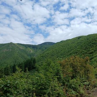 真ん中が下権現堂山かな