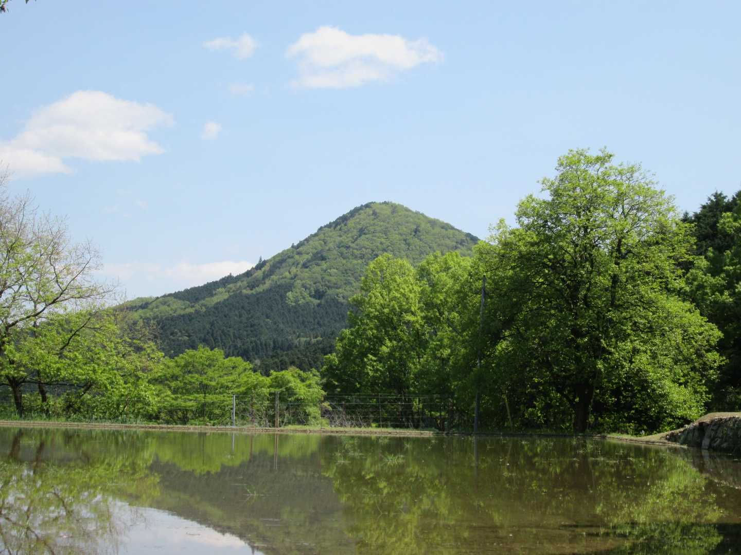 田んぼと三草山