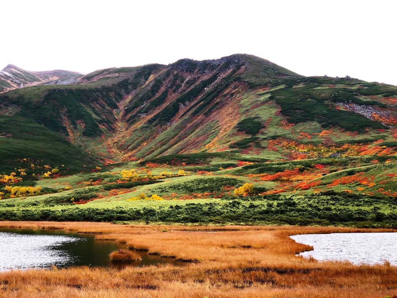 愛山渓登山口-沼ノ平-1591ピーク 往復コースの写真