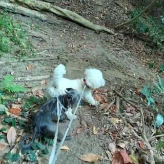 帰り道、滑らないように慎重に！
そして別ルート発見！