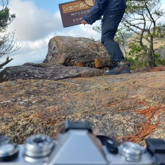 内カメ直したけど、見切れてるやん。
てか、オム子土台にスマホで撮るって、どういう事。

カメラのシャッタータイマー、把握しといて。