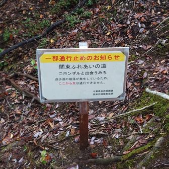 一部通行止めになっていました