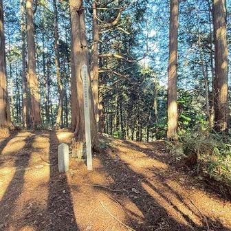 山頂に第十九経塚もありました❣️