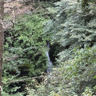 ロードから栃寄大滝
（多分、、）
行く道は無かったよのね、、