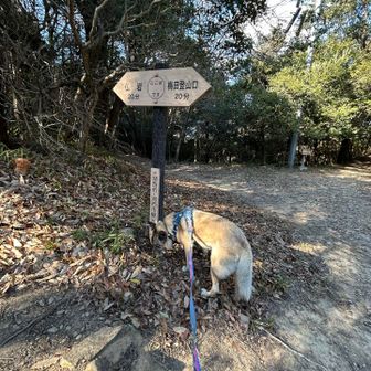 風が強く🍙を食べすぐ次へ進む🔜梅田峠