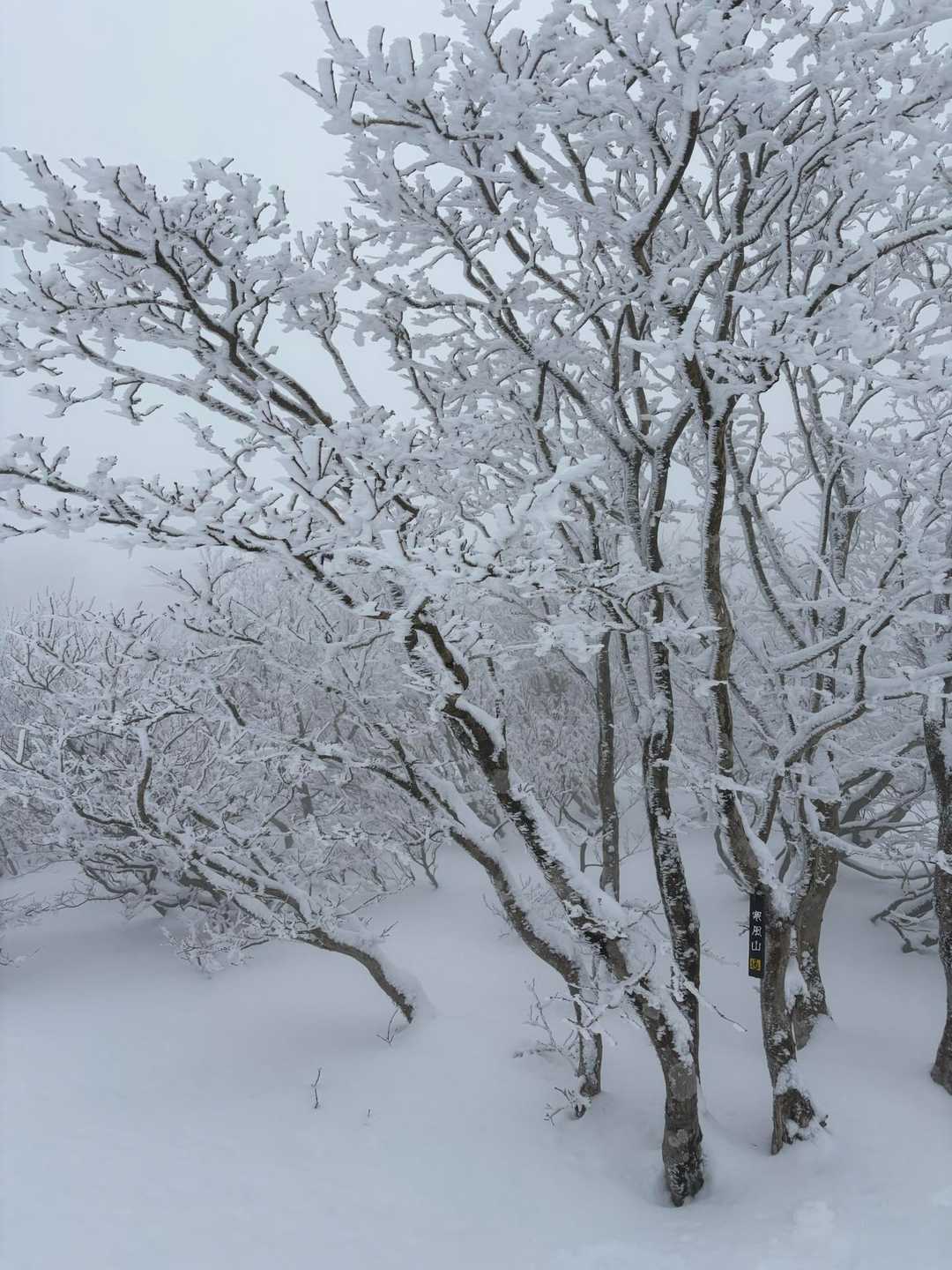 今日の寒風は風が少なかったから良かった👍
