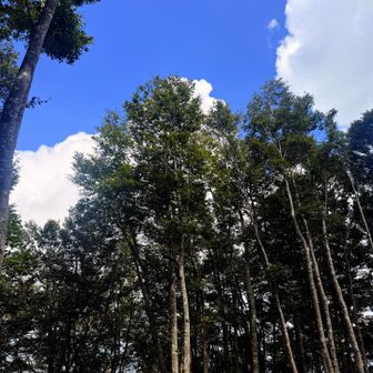 一部晴れ☀️
