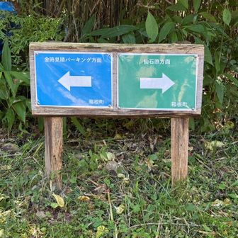 ここは左へ←