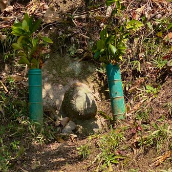 ねむり仏　わらい仏の左に座す　土に半分埋もれたお地蔵様