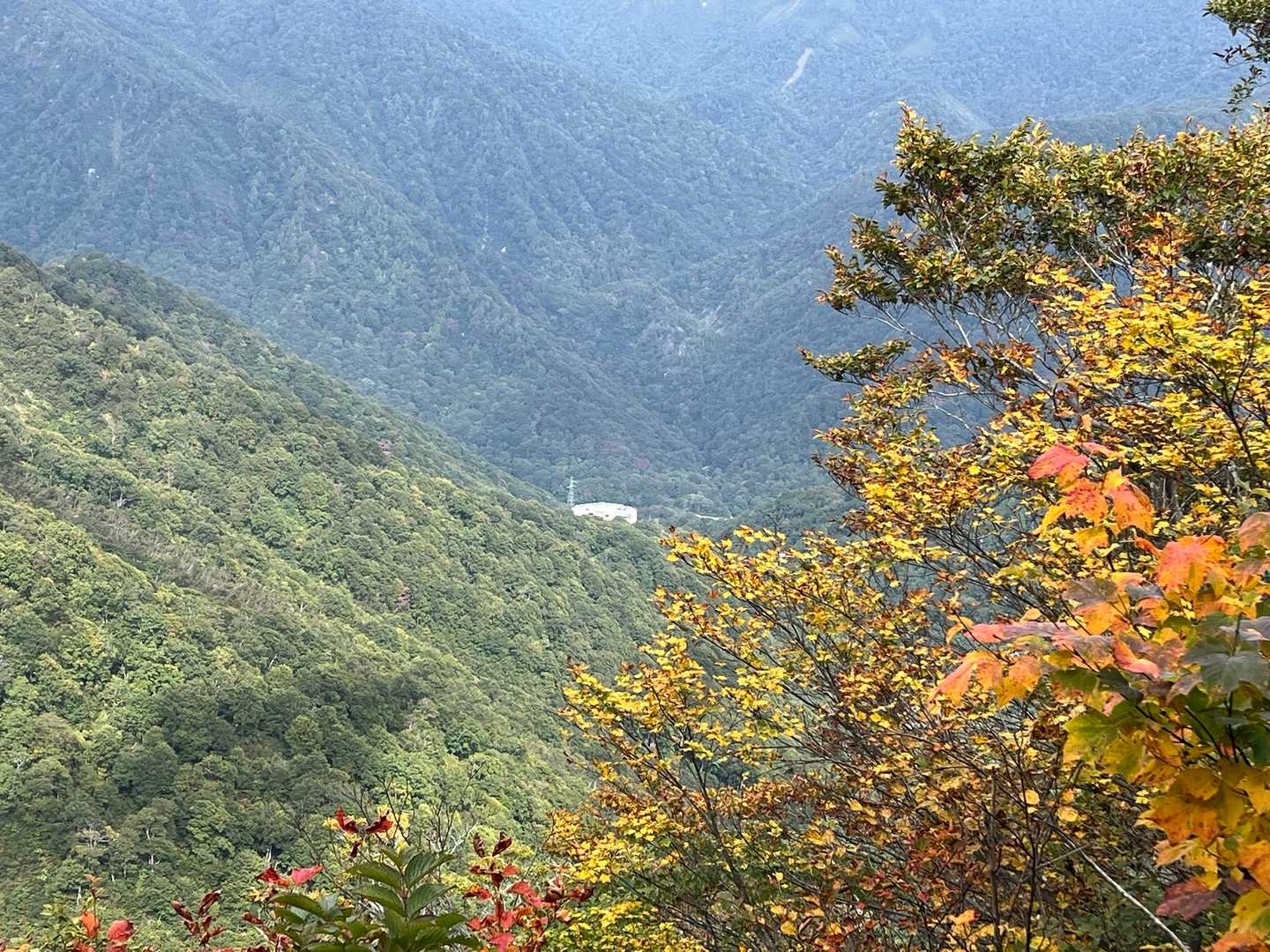 ロープウェイが見えました