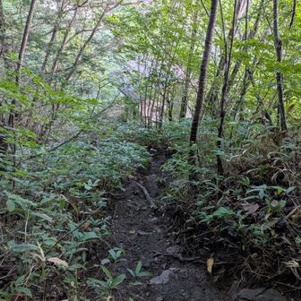 林道終点の登山口に間もなく着。トイレの建物あり。