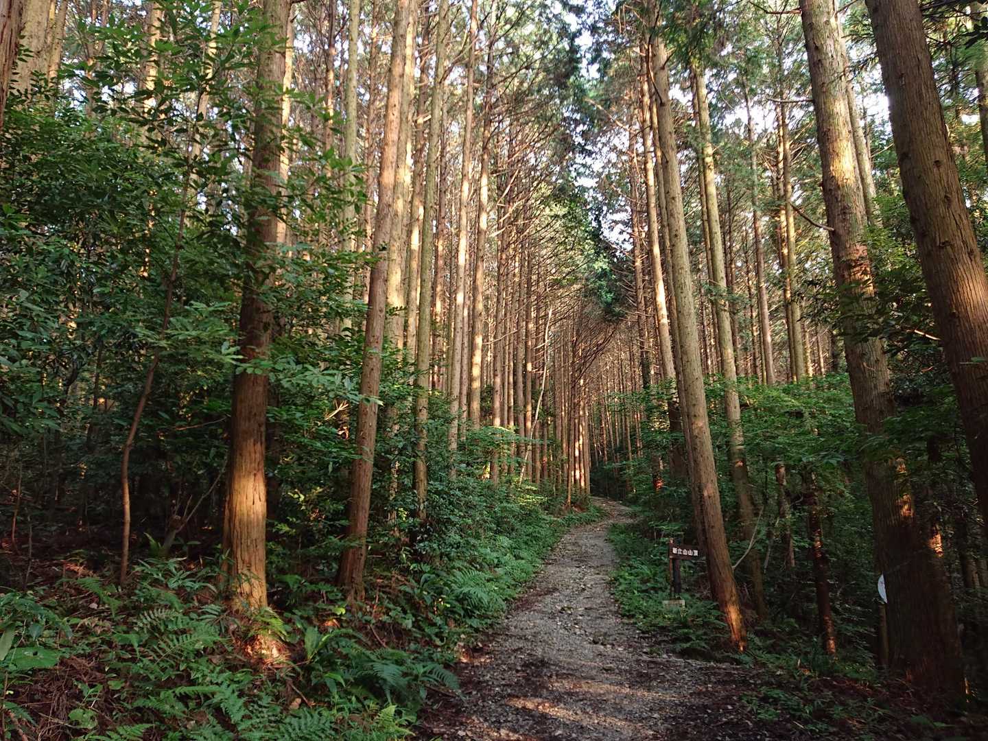 久々の新立山、ご無沙汰してました
