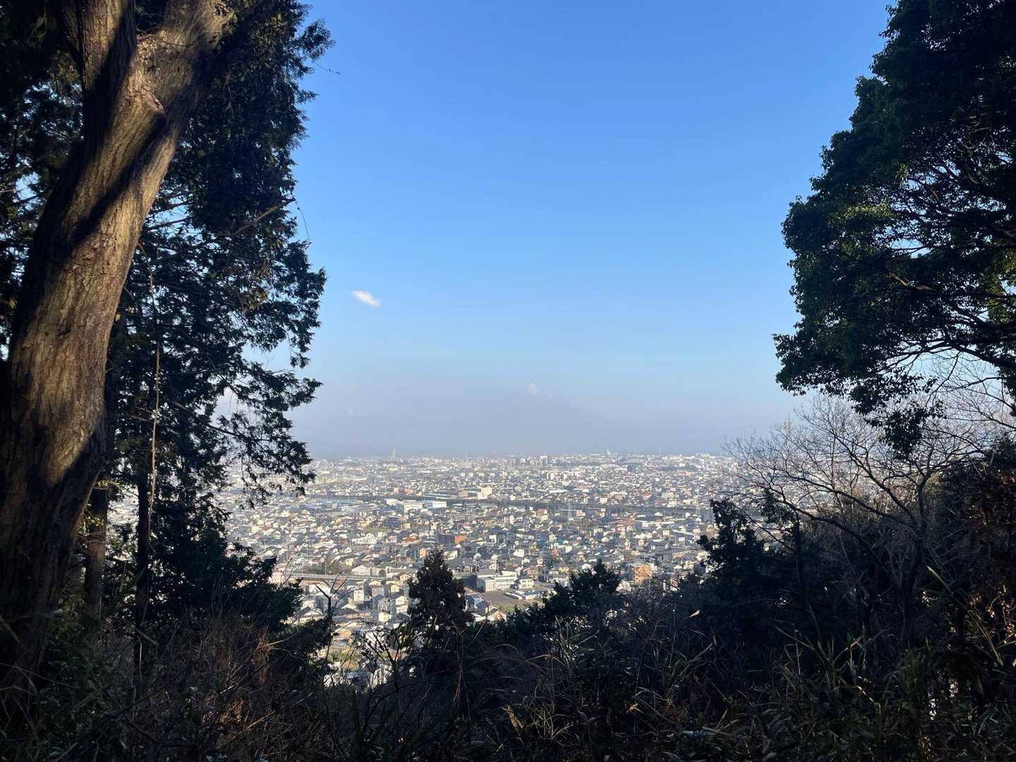 岩本山 往復コースの写真