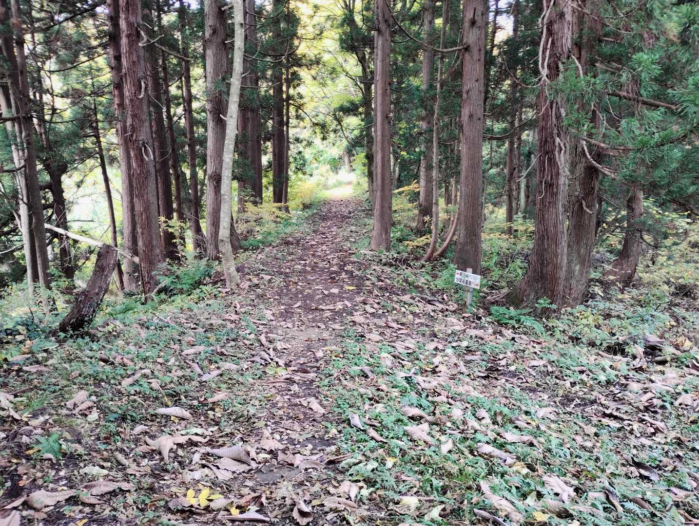 地獄谷分岐点