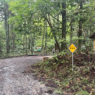 雲興寺方面のトイレまで歩いて戻ります