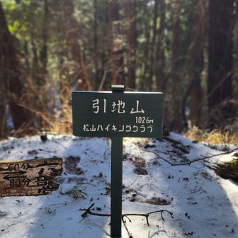 いったん引地山へ