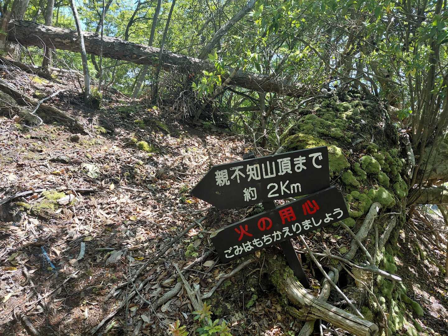 コケズラシ山　
プレート見当たらず