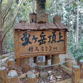 で、山頂に到着！