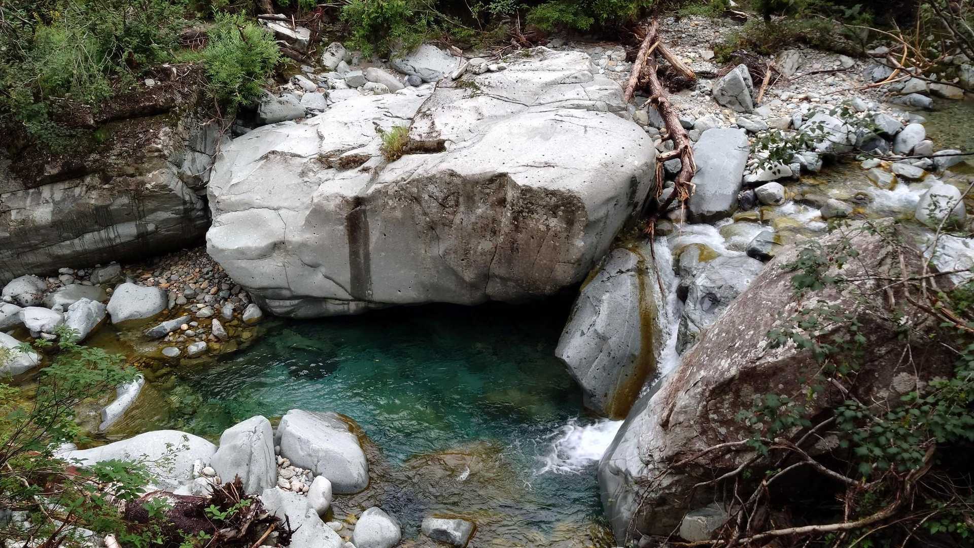 薬師岳登山口-アラスカ庭園-スイス庭園-日本庭園-三俣蓮華 縦走コースの写真