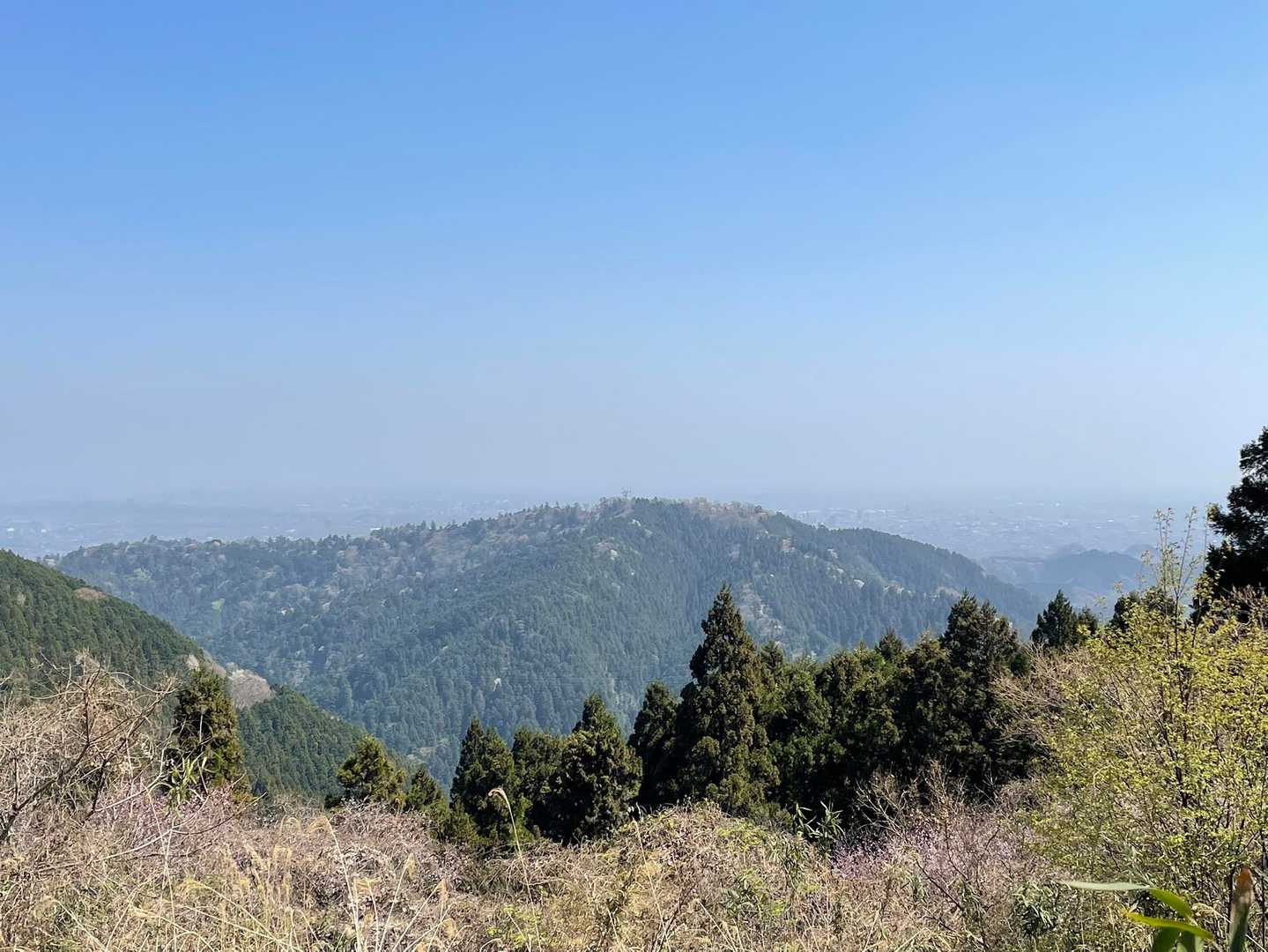 山笑う。