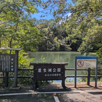 関東大震災でできた震生湖。ひっそりしています