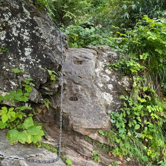 上に登る