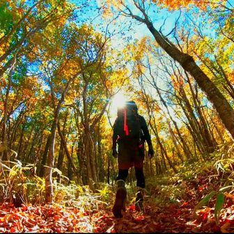 ずぶろくhiking 　ちゃあ