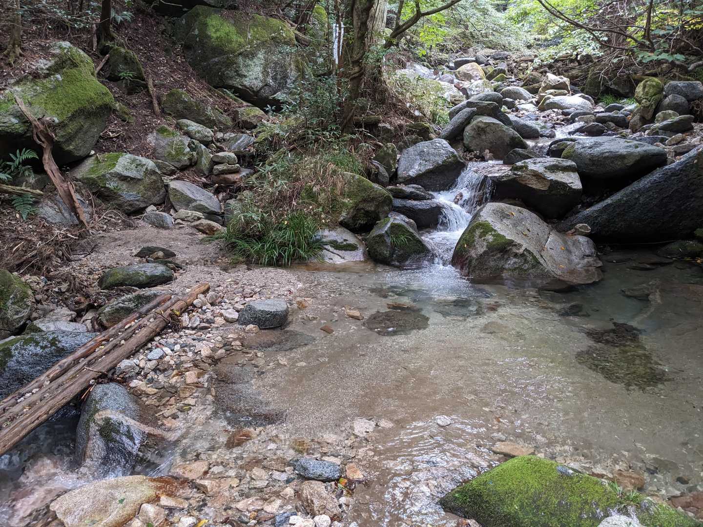 沢に沿って歩く登山道…沢に沿う登山道は気持ちいいよね～山を流れる水はきれいだし…